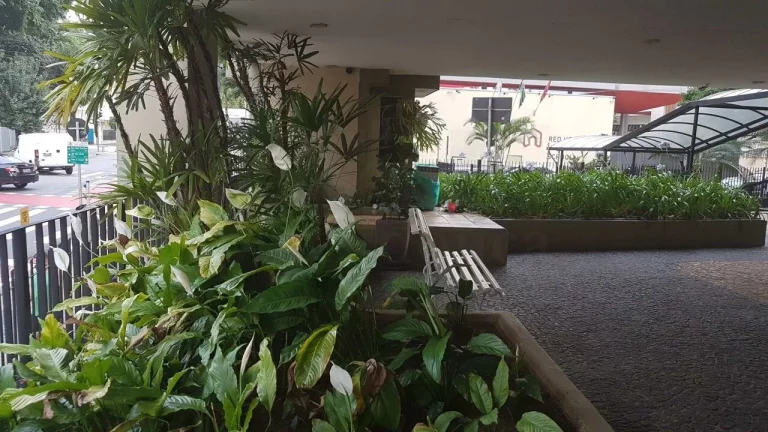 Imagem Apartamento amplo e bem dividido, ensolarado, com living para 02 ambientes, 03 dormitórios sendo 01...
