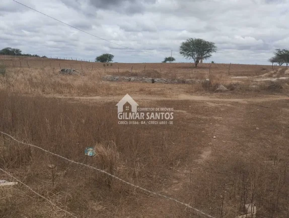 Imagem Lote/Terreno no bairro zona rural, em Coronel João Sá