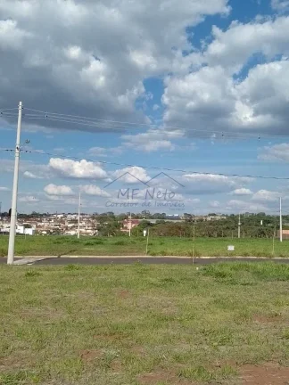 Imagem Terreno Padrão