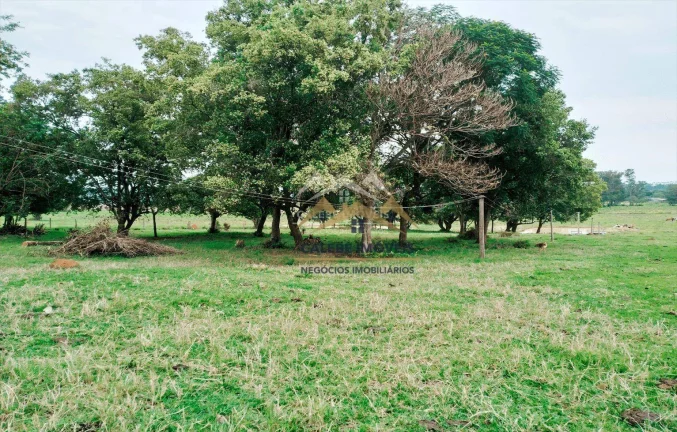 Imagem Chácara com 3 dormitórios à venda, 36000 m² por R$ 550.000,00 - Rio da Várzea - Cesário Lange/SP