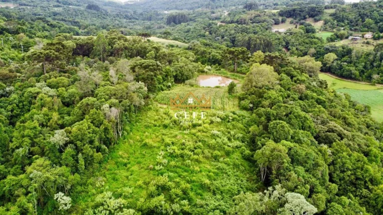 Imagem Chácara - Sítio com 2 Dormitorio(s) localizado(a) no bairro Boa Vista do Herval em Santa Maria do Herval / RIO GRANDE DO SUL Ref.:1609