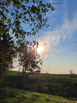 Imagem Sitio com 7 alqueires paulista Tatuí SP
