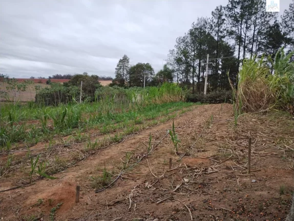 Imagem CHACARA RESIDENCIAL em Elias fausto - SP, Três Cruzes