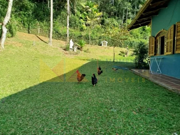 Imagem Imóvel com 5 Quartos à Venda, 400 m² em Ribeirão Fresco - Blumenau Imagem Imóvel com 5 Quartos à Venda, 400 m² em Ribeirão Fresco - Blumenau