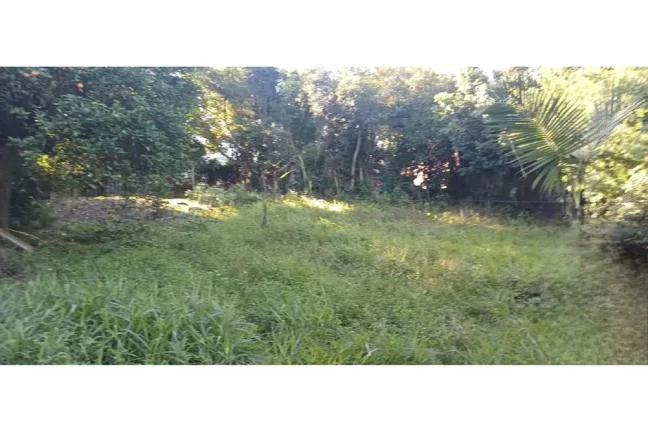 Imagem AHDACB 1301 612531061-12 - Fazenda à venda no bairro Aparecida - Alvorada/RS