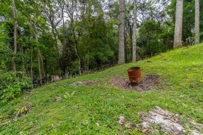 Imagem Terreno 745m2 rua sem saída Santa Felicidade