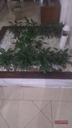 Imagem Sobrado com 3 quartos à venda, 180 m² por R$ 790.000 - Vila Melliani - Guarulhos/SP