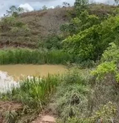 Imagem Fazenda à venda em Presidente Olegário – 58 hectares planos, mecanizáveis e com água