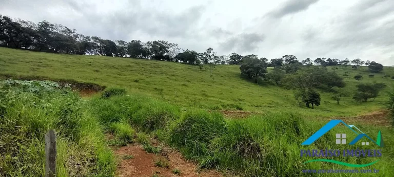 Imagem Invista em Sustentabilidade: Sítio com Nascentes e Preservação