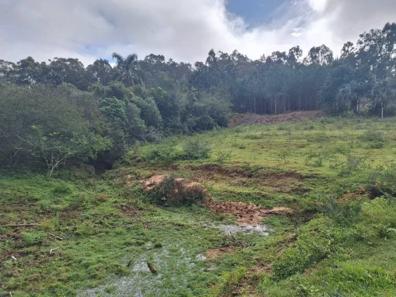 Imagem Sitio à venda, com 1.6 hectares, córrego natural, no Espigão, Viamão/RS