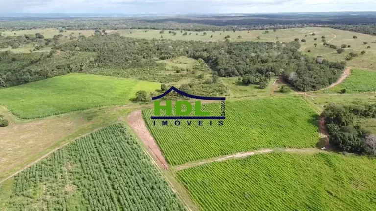 Fazenda 227 Alqueires em Araguaína TO