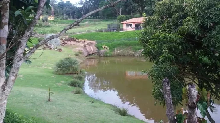 Imagem Imóvel