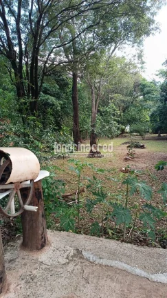 Imagem Chácara no Condomínio Piapara em Alvorada do Sul com 2.260m², 3 quartos, árvores frutíferas, café em produção, área cimentada e muito verde!