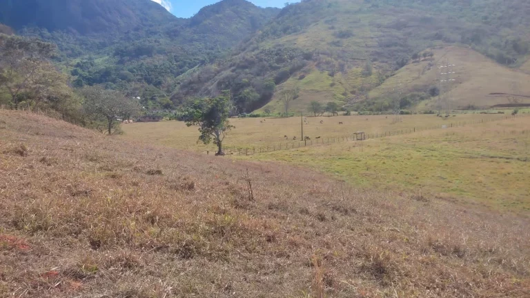 Imagem AREA RURAL em GUARAPARI - ES, COMUNIDADE URBANA DE SAMAMBAIA