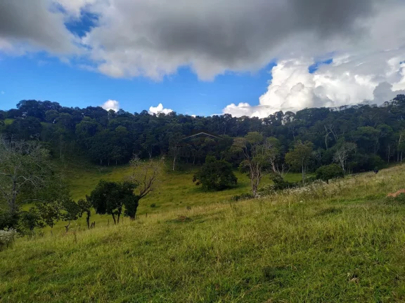 Imagem Terreno à venda no bairro Jardim - Cunha/SP