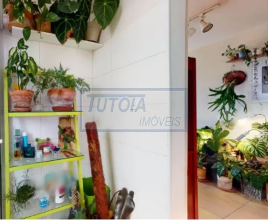Imagem APARTAMENTO À VENDA NA VILA MARIANA, SÃO PAULO