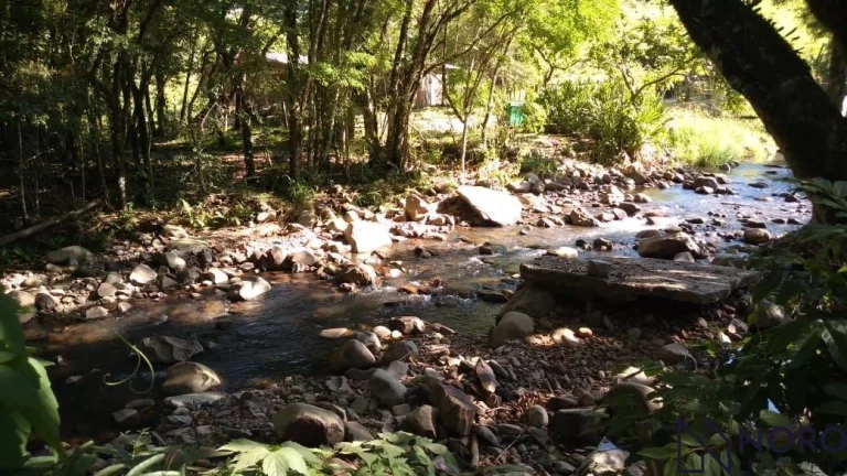 Imagem Casa no campo. Chácara para quem aprecia a natureza, mata nativa, riacho