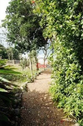 Imagem Casa com 5 dormitórios à venda, 420 m² por R$ 3.500.000,00 - Praia Caravelas - Armação dos Búzios/RJ