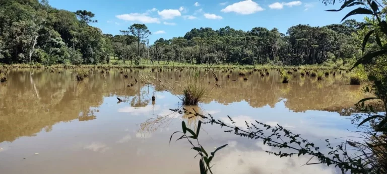Imagem TERRENO RURAL em CAMPO BELO DO SUL - SC, Área Rural