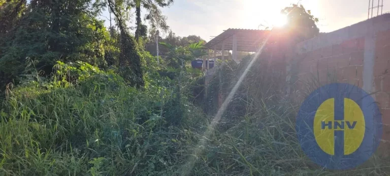 Imagem Terreno Plano de 600m² à Venda – Oportunidade Única para Construir