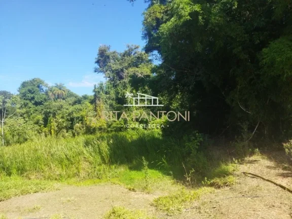 Imagem Sítio - Mococa - Zona Rural
