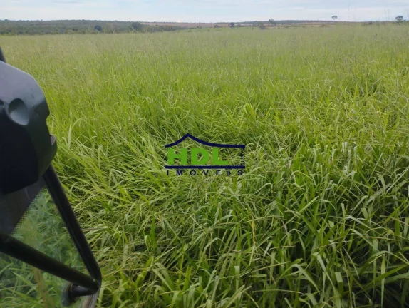 Imagem Fazenda com projeto para 4 Pivôs no Tocantins