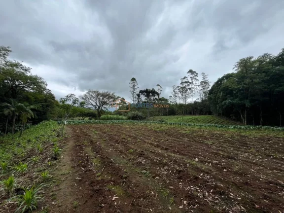 Hectares no Sul, Area de terra no RS, Hectare em maquine, RS