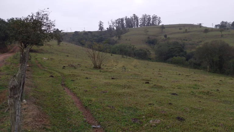 Imagem Sítio à venda, 484000 m² por R$ 4.000.000,00 - Bairro Congonhal - Tatuí/SP
