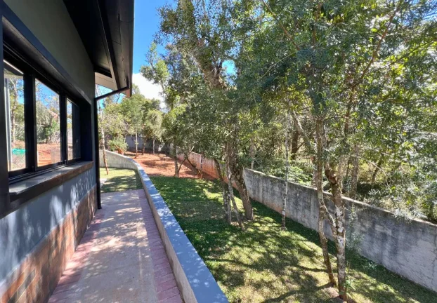 Imagem Refúgio Contemporâneo na Vila Siomara: Design, Terreno Plano e o Silêncio das Araucárias