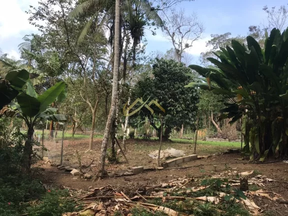 Imagem LINDA ÁREA DE 32.500M² EM UBATUBA, FACÍL ACESSO... OPORTUNIDADE.
