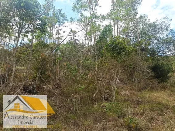 Imagem Vendo área rural com 20 mil mts², boa topografia com nascente.