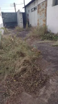 Imagem Alugo Galpão em Santo André, Vila Vilma
