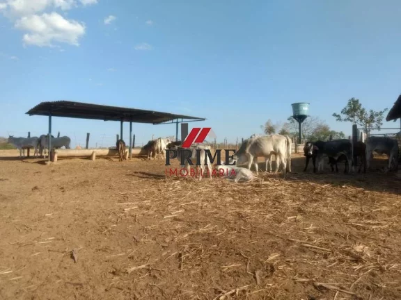 Imagem Fazenda - São Vicente - Baldim