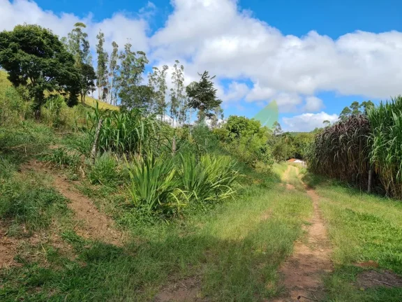 Imagem Lindo Sítio à Venda e Piracaia 20Alq