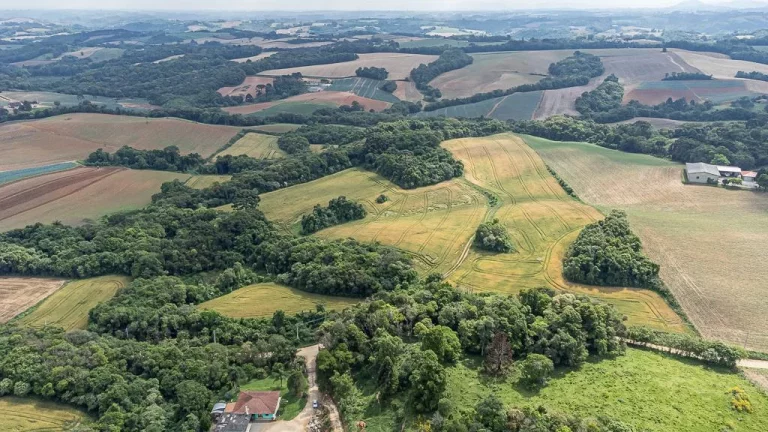 Imagem Chácara com 6 alqueires em Campo Magro