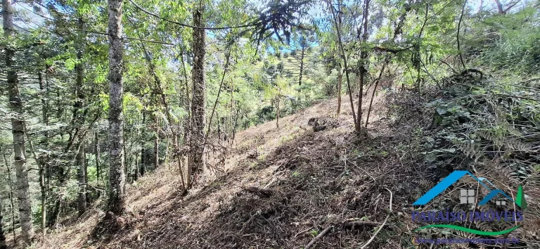 Imagem Seu Paraíso Particular a Passos da Cachoeira do Simão em Gonçalves!