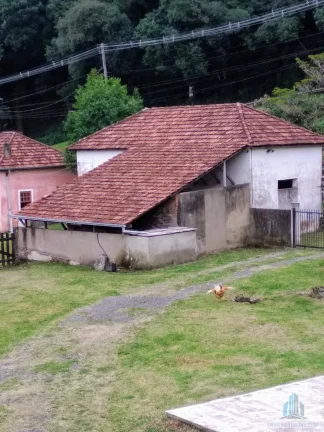 Imagem Sítio com 4 quartos, 6,3 ha, à venda em Morro Reuter - RS
