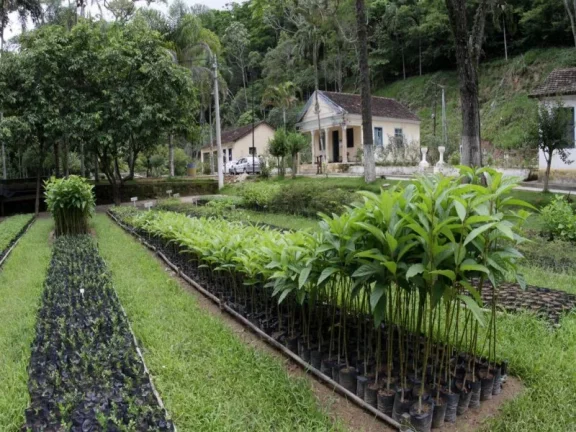 Imagem CASA COM 3 DORMITÓRIOS À VENDA, 198 M² POR R$ 580.000,00 - SANTA MARIA - SANTOS/SP