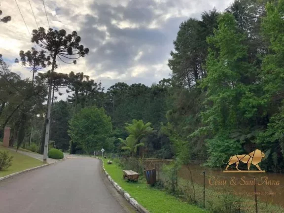 Imagem Terreno à venda, 2450 m² Capivari - Campos do Jordão/São Paulo