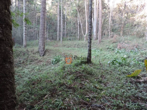 Imagem Sítio com 2 dormitórios à venda, 1000000 m² por R$ 28.000.000,00 - Dos Marmelos - Campos do Jordão/SP