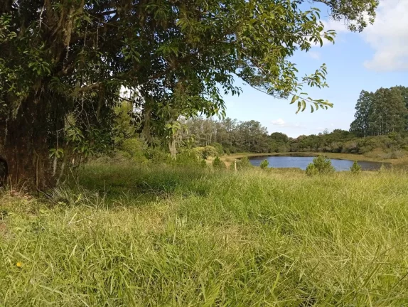 Imagem Sítio a venda com 9 Hectares, Passo da Areia, Viamão/RS