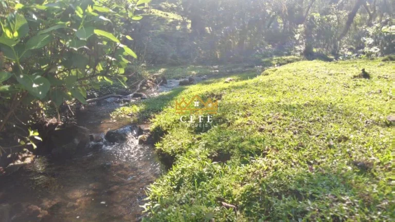 Imagem Chácara - Sítio com 1 Dormitorio(s) localizado(a) no bairro Ribeirão em São Francisco de Paula / RIO GRANDE DO SUL Ref.:1535