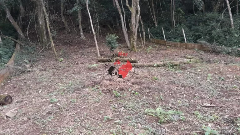 Imagem Vendo ou Troco Terreno 750m² no Recanto Maravilha III, Santana de Parnaíba