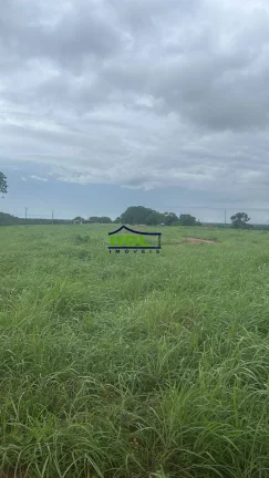 Imagem Fazenda 226 Alqs Dupla aptidão Natividade/TO