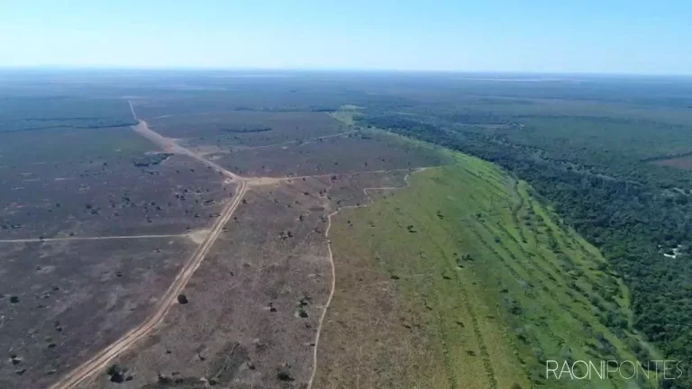 Imagem Fazenda à Venda, 46.464.000 m² em Zona Rural - Peixe