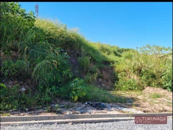 Imagem Terreno à venda, 300 m² por R$ 370.000,00 - Parque Continental II - Guarulhos/SP