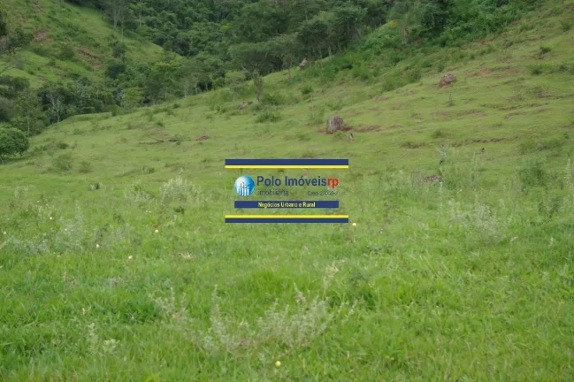 Imagem Fazenda 40 alqueires com estrutura, casa, água, energia, altitude para plantar café e gado, cidade Santo Antônio da Alegria - SP