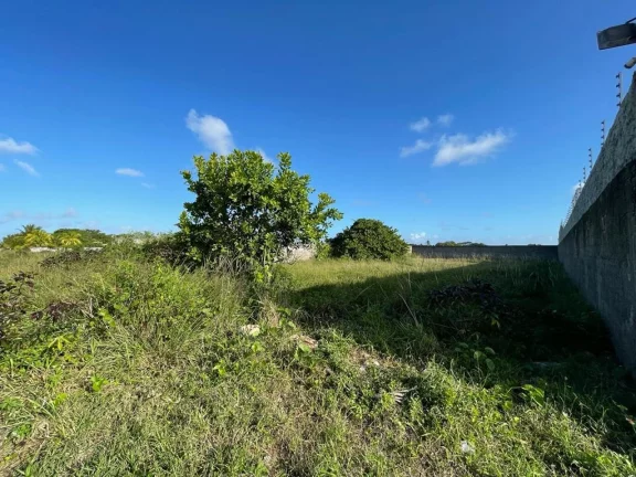 Imagem Terreno no Mosqueiro - Espaço amplo de 980m² à venda | Posição Norte