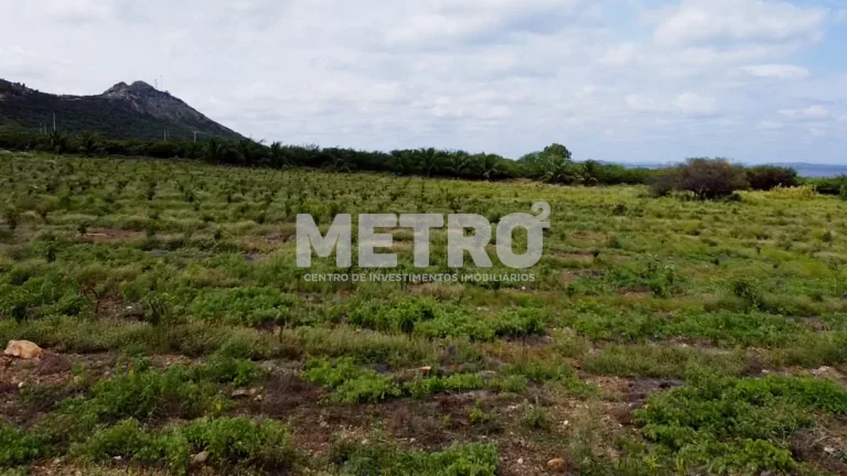 Imagem Fazenda à venda de mangas, 15 hectares, escriturada e quitada na CODEVASF