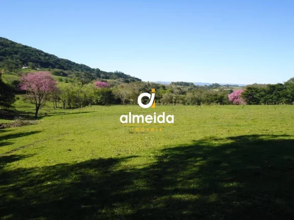 Imagem Chácara 3 dormitórios à venda Zona rural Restinga Seca/RS